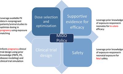 Regulatory Considerations for the Mother, Fetus and Neonate in Fetal Pharmacology Modeling